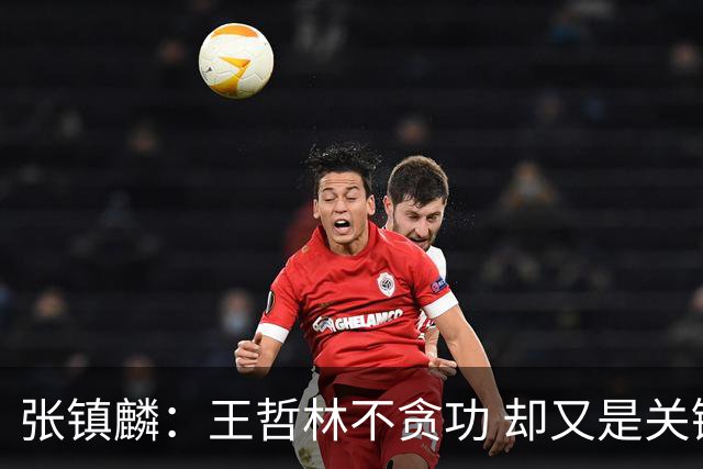 张镇麟：王哲林不贪功 却又是关键时刻能站出来的人 队长当之无愧